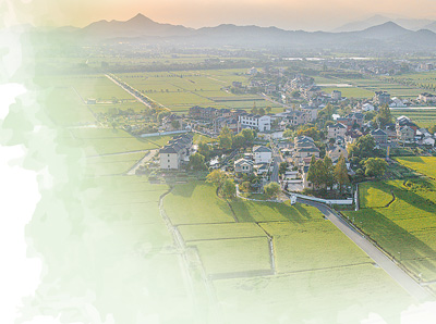 集体经济（人民眼·乡村全面振兴）冰球突破平台经理人如何盘活农村(图2)